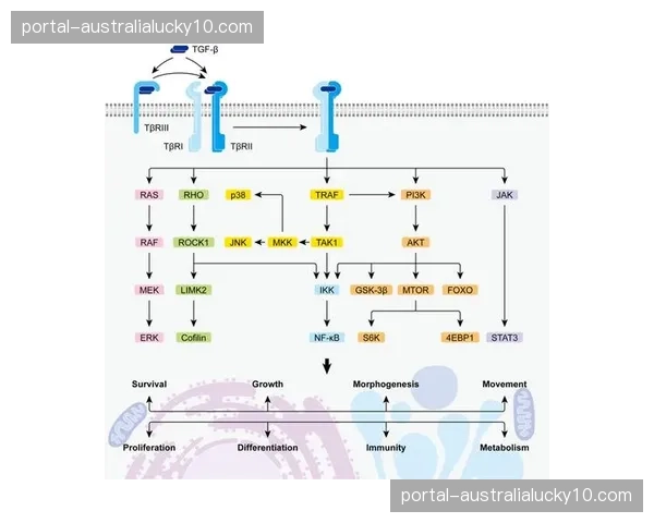 按需分配信号包机制走红 灵活订阅模式激活长尾市场
